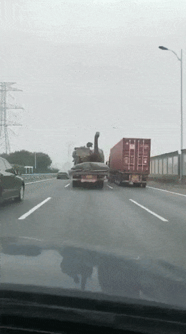 Acid Gifdump, November 07, 2018 (25 gifs)