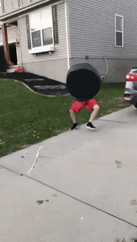 Acid Gifdump, November 07, 2018 (25 gifs)