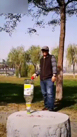 Acid Gifdump, November 07, 2018 (25 gifs)