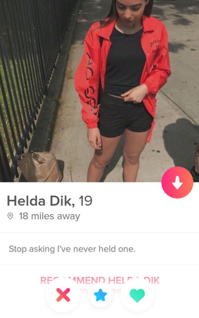Funny Tinder Profiles (29 pics)