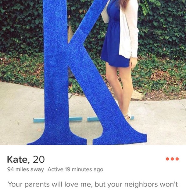 Funny Tinder Profiles (29 pics)