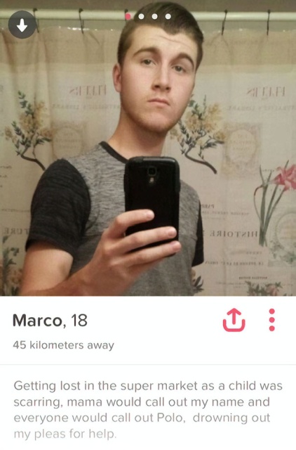 Funny Tinder Profiles (29 pics)