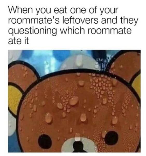 Roommate Memes (29 pics)