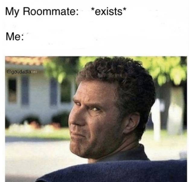 Roommate Memes (29 pics)