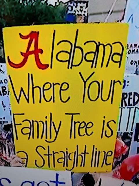 College Gameday Signs (21 pics)