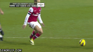 Selection Of Fails (21 gifs)