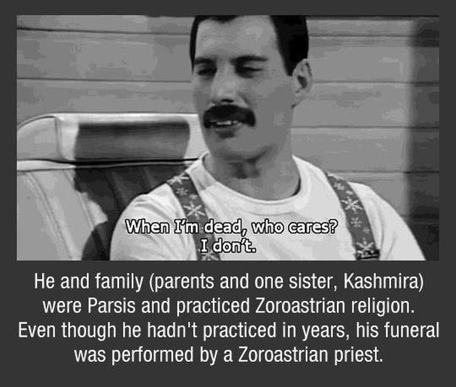 Freddy Mercury Facts (10 pics)