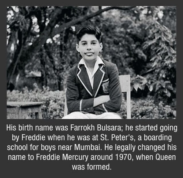 Freddy Mercury Facts (10 pics)
