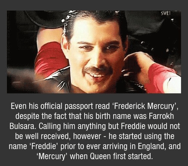 Freddy Mercury Facts (10 pics)