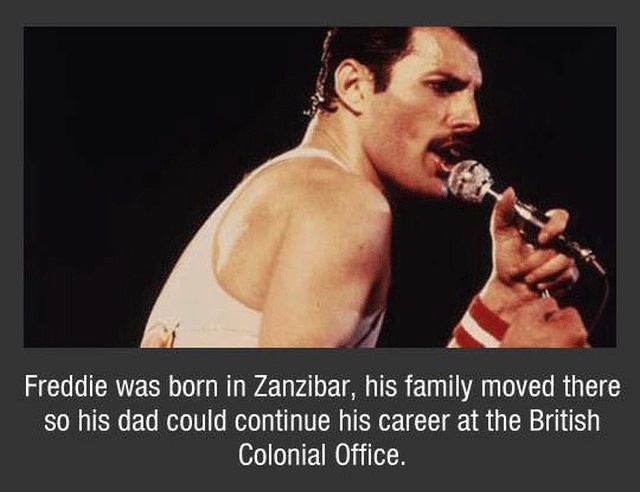 Freddy Mercury Facts (10 pics)