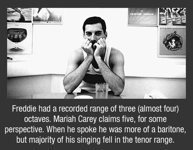 Freddy Mercury Facts (10 pics)
