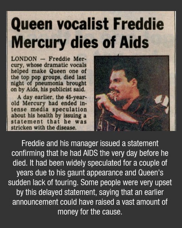 Freddy Mercury Facts (10 pics)
