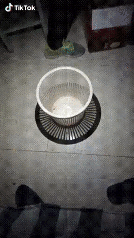 Acid Gifdump, November 08, 2018 (25 gifs)