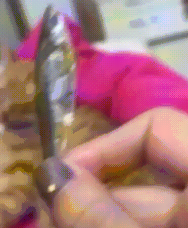 Acid Gifdump, November 08, 2018 (25 gifs)