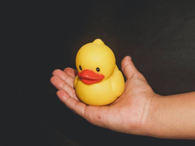 What Is Rubber Duck Debugging (3 pics)