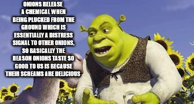 Shower Thoughts (25 pics)
