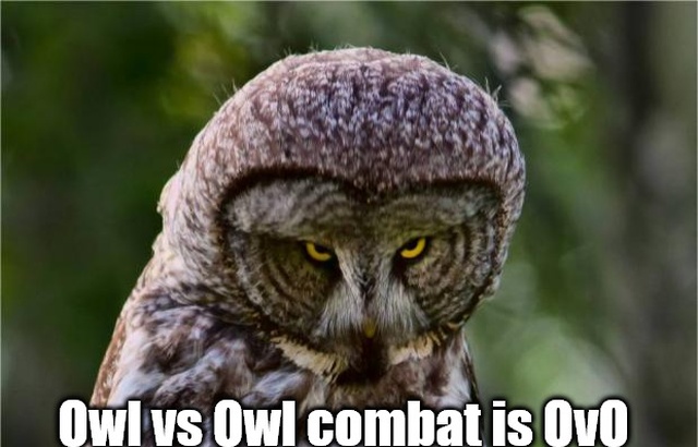 Shower Thoughts (25 pics)