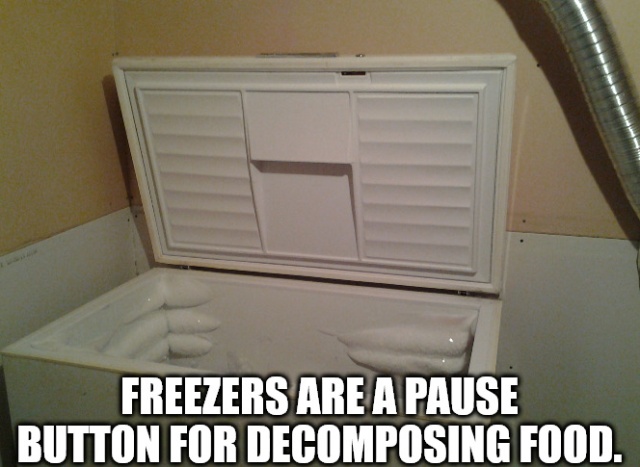 Shower Thoughts (25 pics)