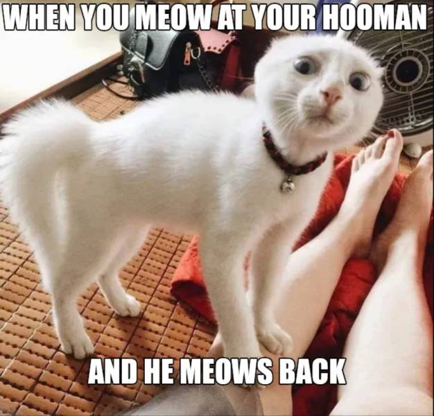 Acid Picdump (93 pics)