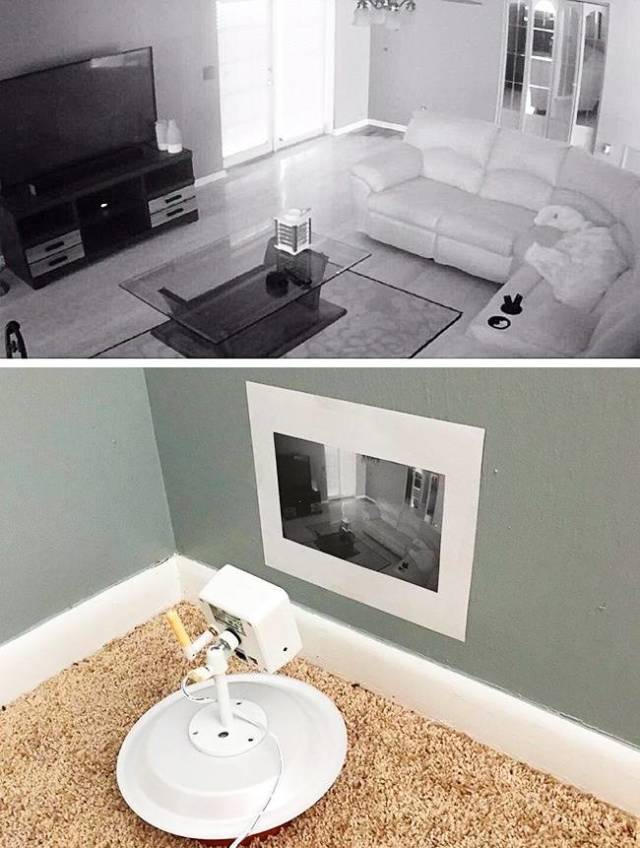 Creative Or Stupid? (59 pics)