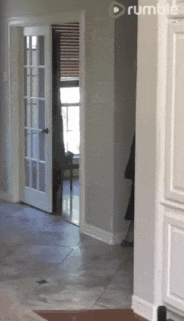 Acid Gifdump, November 12, 2018 (25 gifs)