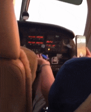 Acid Gifdump, November 12, 2018 (25 gifs)