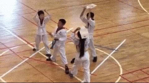 Acid Gifdump, November 12, 2018 (25 gifs)