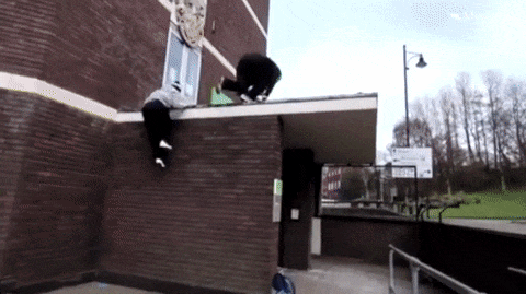 Acid Gifdump, November 12, 2018 (25 gifs)