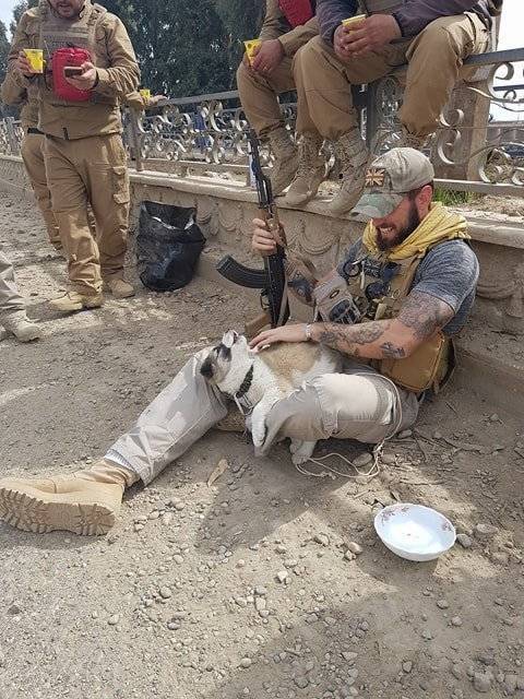 Soldier Saves A Puppy During Operation And It Turns To Be The Most Important Event Of His Life (9 pics)