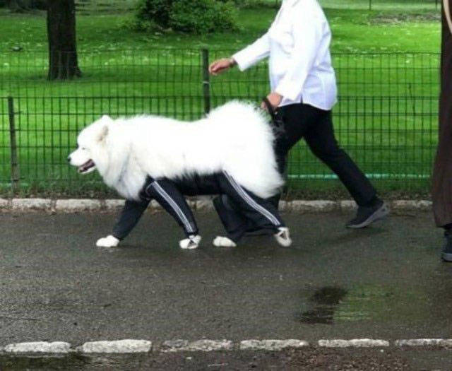 Only In Russia (39 pics)