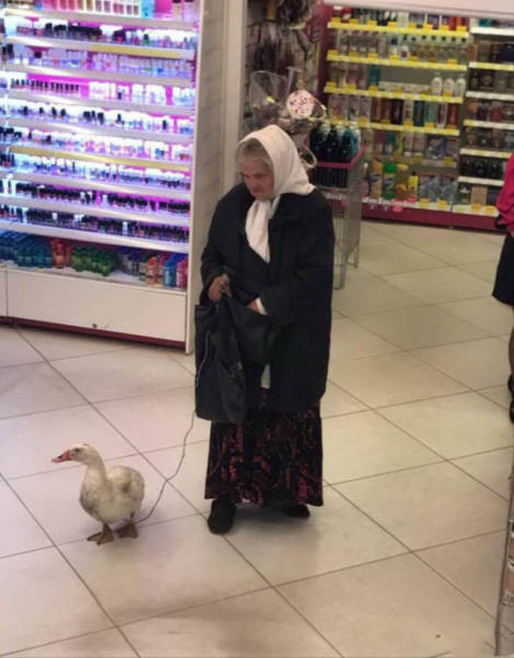 Only In Russia (39 pics)