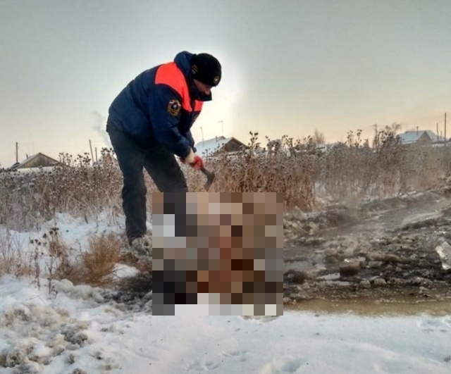 Rescuing Horses From Ice In Yakutsk, Russia (6 pics)