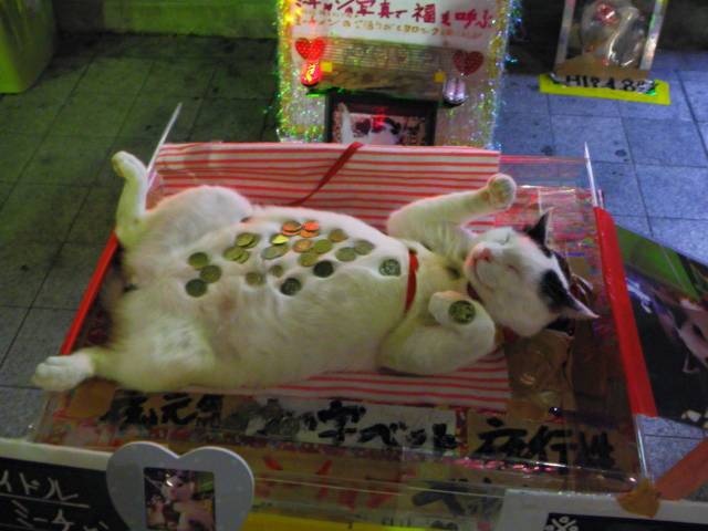 Acid Picdump (94 pics)