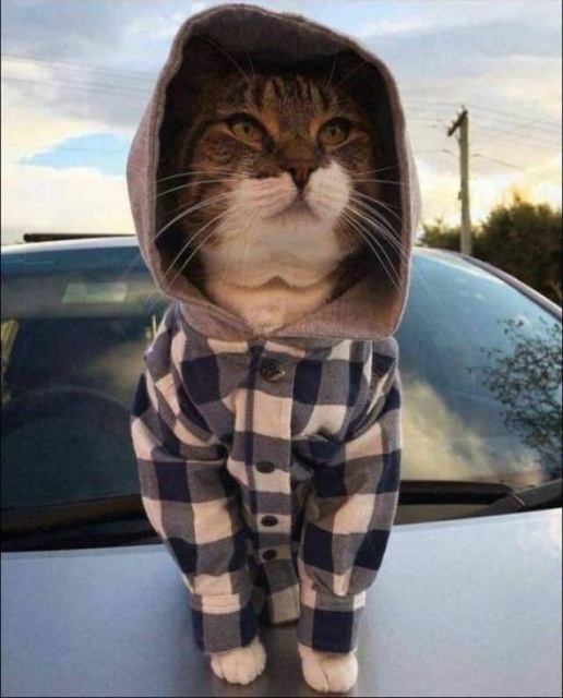 Acid Picdump (94 pics)
