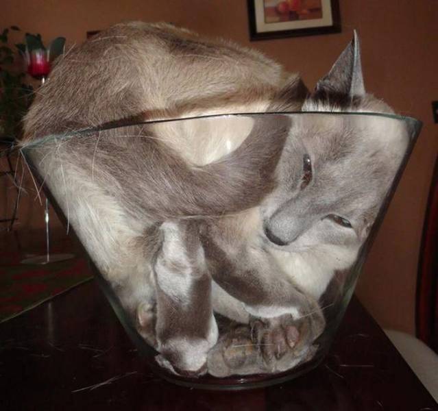 Acid Picdump (94 pics)