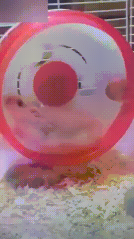 Acid Gifdump, November 13, 2018 (25 gifs)