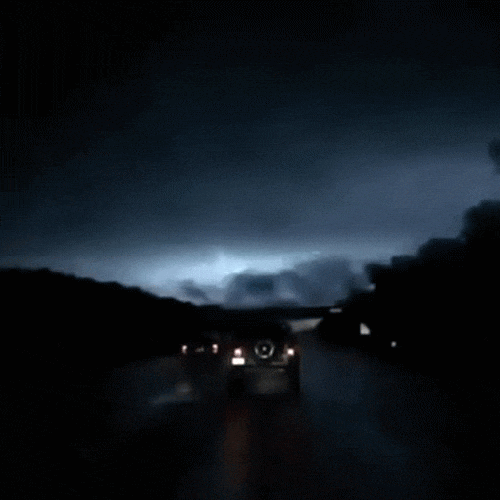 Acid Gifdump, November 13, 2018 (25 gifs)