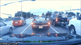 Acid Gifdump, November 13, 2018 (25 gifs)
