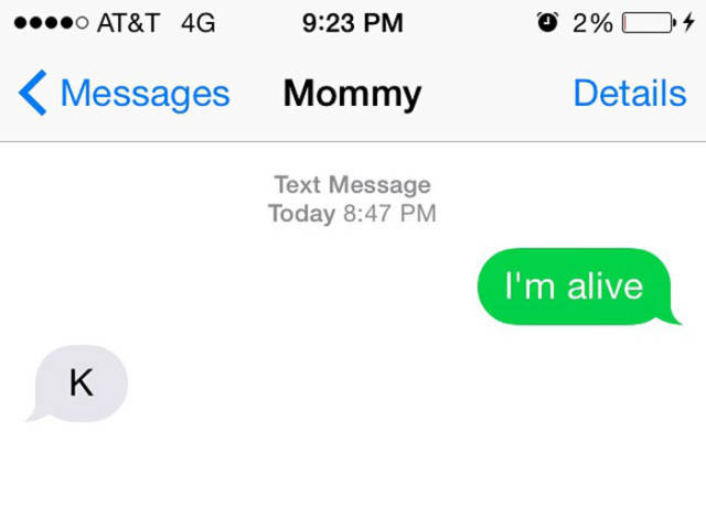 Mom Jokes (39 pics)