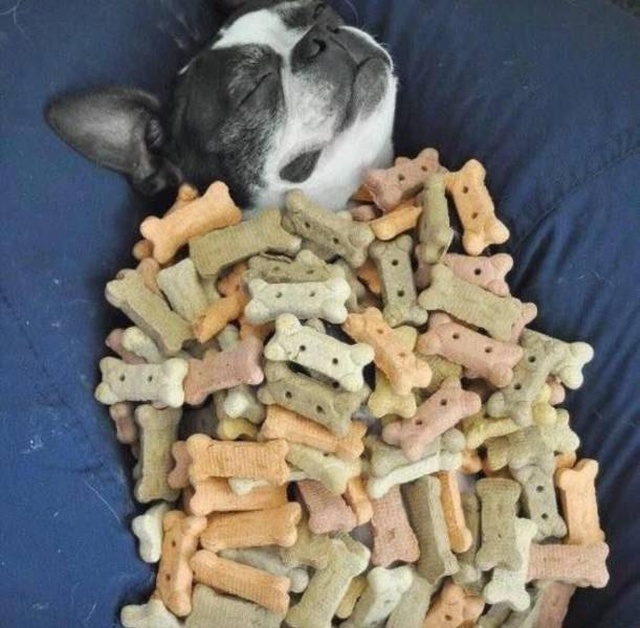 Acid Picdump (97 pics)