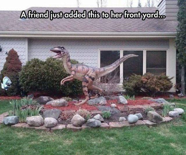 Acid Picdump (97 pics)
