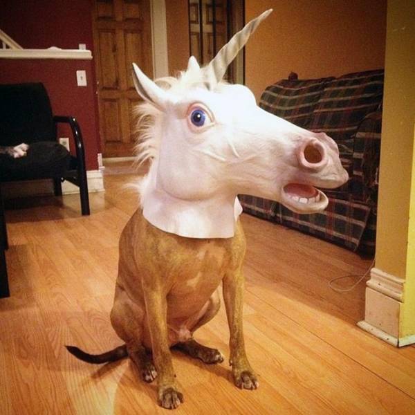 Acid Picdump (97 pics)