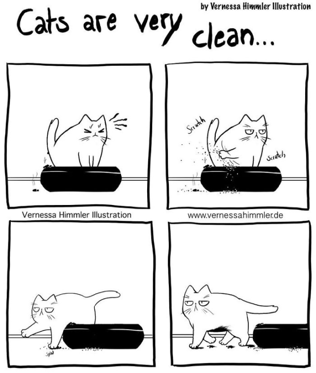 Life With Two Cheeky Cats (25 pics)