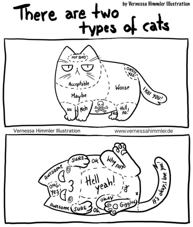 Life With Two Cheeky Cats (25 pics)