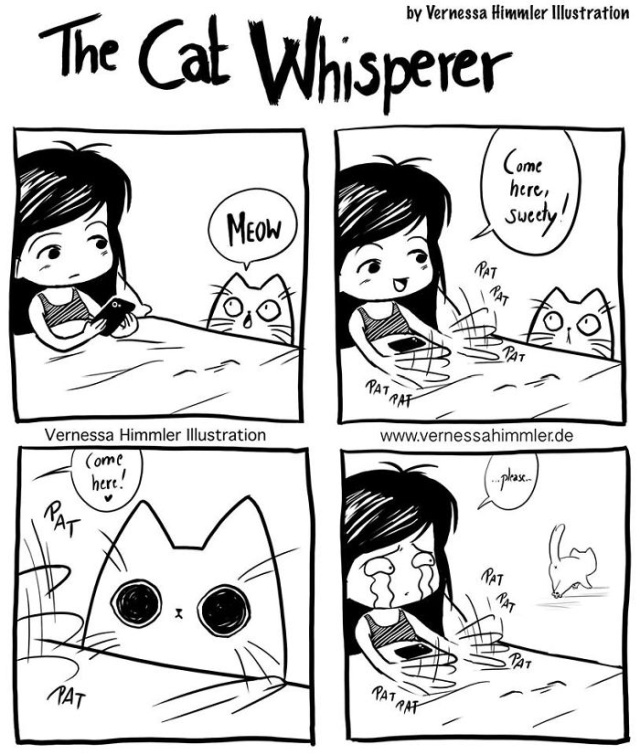Life With Two Cheeky Cats (25 pics)
