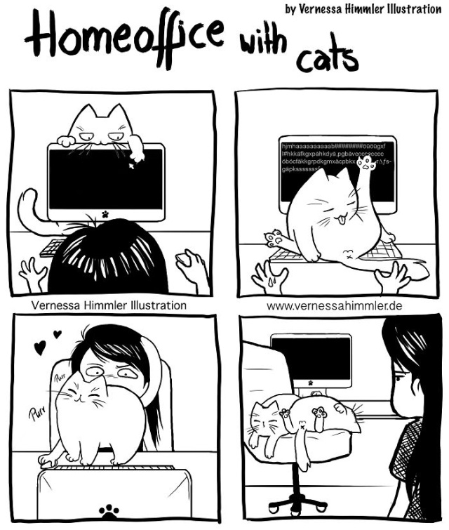 Life With Two Cheeky Cats (25 pics)