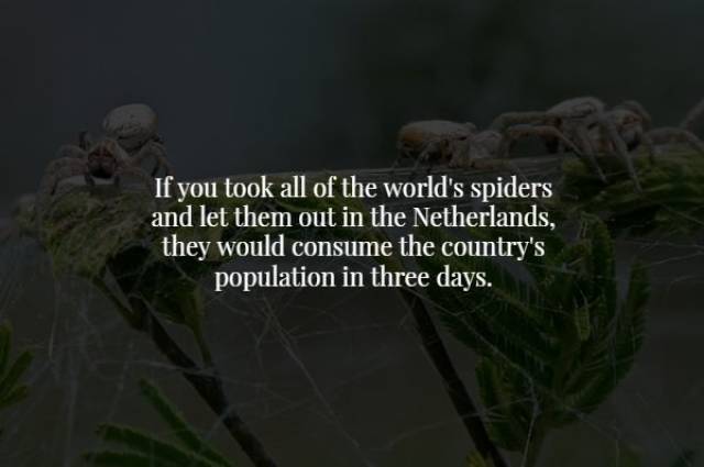 Scary Facts (18 pics)
