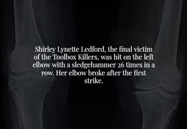 Scary Facts (18 pics)