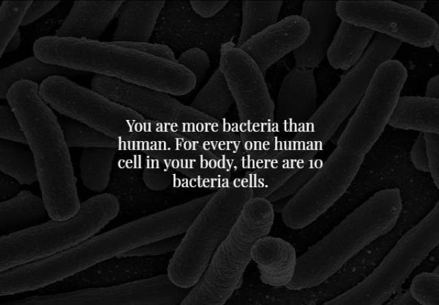 Scary Facts (18 pics)