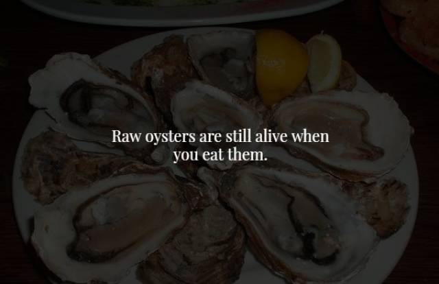 Scary Facts (18 pics)